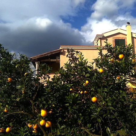 Su Canonigu Agriresort Tortoli Bagian luar foto