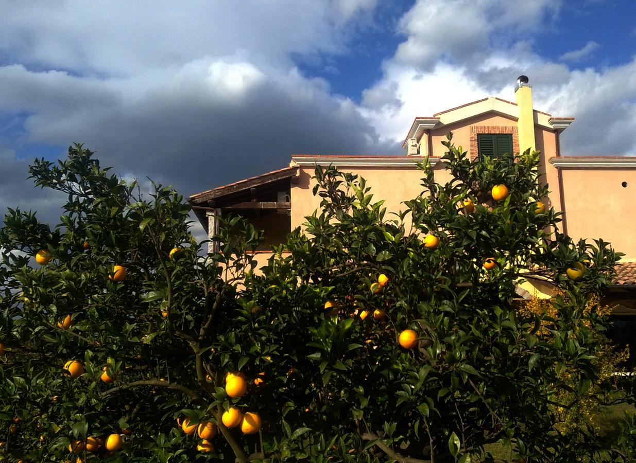 Su Canonigu Agriresort Tortoli Bagian luar foto